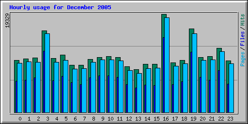 Hourly usage for December 2005