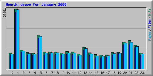 Hourly usage for January 2006