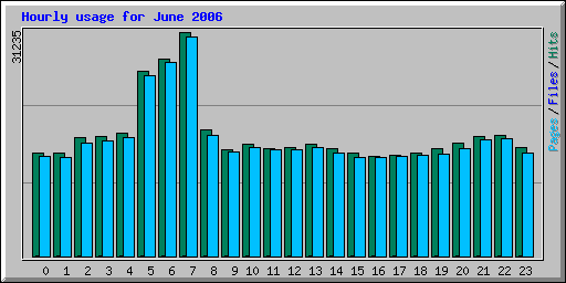 Hourly usage for June 2006
